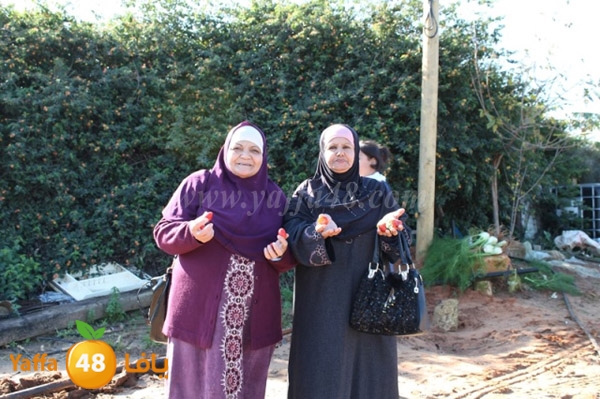 re7la tolkarem (60).JPG